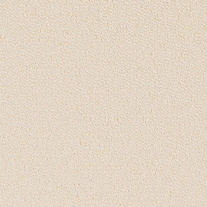 Biscuit Boucle