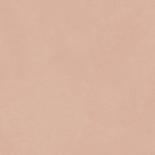 Blush rose Velours