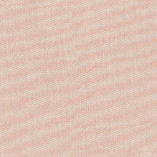 Rose pétale
